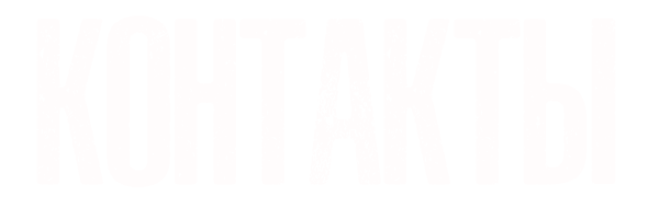 Контакты